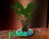 velvet V plant set