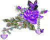 purple roses/stiker
