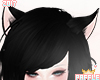 P| Kitty Ears Black