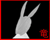 [竜]DRV Bunneh V2 F