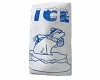 Cool Bag of Ice