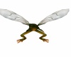 {LS} Flying Frog