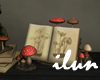 Mushroom Book