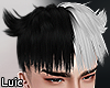 LC. Ryu B/White Hair.