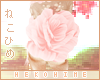 [HIME] Dara Flower Tail