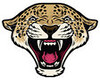 SMTI Leopards Sorority