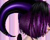 purple black dragon horn