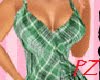 (PZ) Curves Green Dress