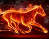 *R* Fiery Horse Pict