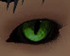 CAT EYES GREEN [M]