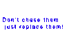 Dont chase them