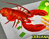 Lobster Seafood