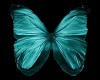 Butterfly Ore DT