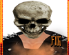 Ghost Rider Real Head*