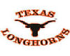 TexasLongHorns2