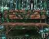 Forest Bench + Pose