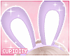 Bunny Ears | Purple