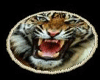 Tiger rugs {MA}