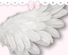 ♡ angel wings