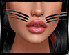 Cat Whiskers