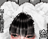 空 Bear Scarf 空