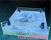 ntt blue fight ring