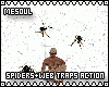 Spiders+Web Traps Action