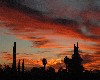 Arizona sunset 2