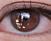 Glimmer eyes Ambar