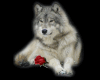Sticker Wolf 16