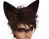 Brown Wolf Ears