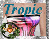 ~QI~ Tropic Mini V2