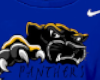 Panther Spirit M