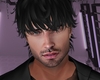 Realistic Head