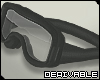 Ski Goggles