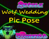Wolf  Wedding Pic Pose