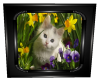 (D)Flowers&Kitty
