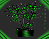 Toxxic Plant 
