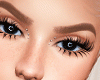 Perfect Brow+Highlight