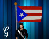 [G] Rican avatar flag