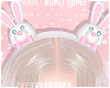 $K Bunny Headband