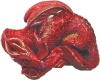 Ruby Red Mother Dragon