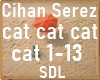 Cihan Serez Cat Cat Cat