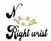 Right Wrist Bells