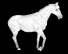 Dj Light White Horse