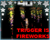 4u Fireworks 1