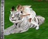 My White Tiger brushing