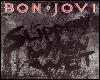 ~VP~ Bon Jovi Slippery