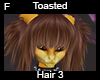 Toasted hair 3