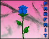 (*Par*) Blue Rose